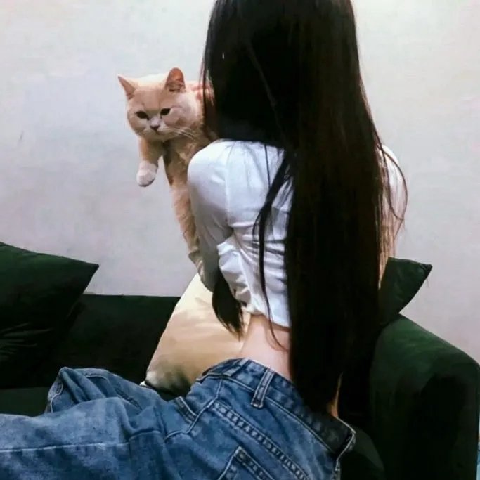 孤儿橄榄球队